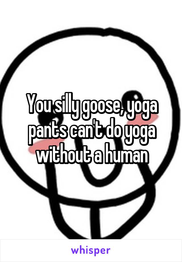 You silly goose, yoga pants can't do yoga without a human