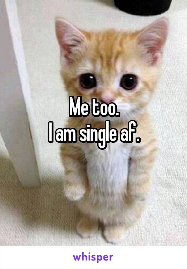 Me too.
I am single af.
