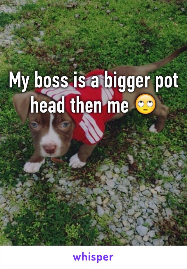 My boss is a bigger pot head then me 🙄