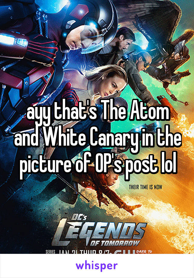 ayy that's The Atom and White Canary in the picture of OP's post lol