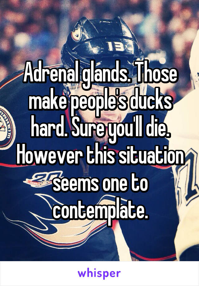 Adrenal glands. Those make people's ducks hard. Sure you'll die. However this situation seems one to contemplate.