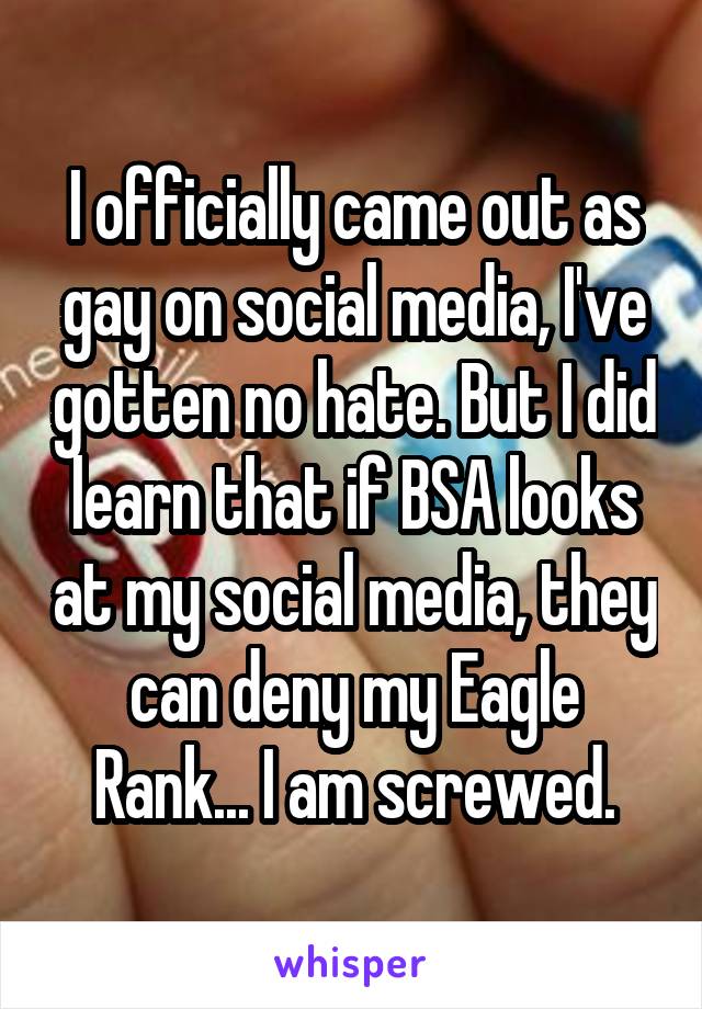 I officially came out as gay on social media, I've gotten no hate. But I did learn that if BSA looks at my social media, they can deny my Eagle Rank... I am screwed.