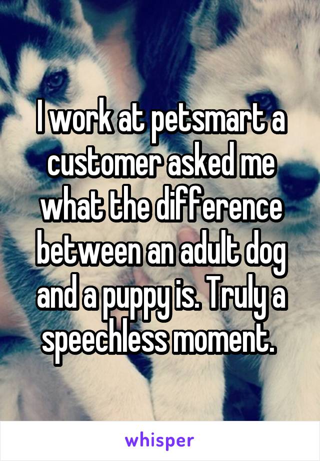 I work at petsmart a customer asked me what the difference between an adult dog and a puppy is. Truly a speechless moment. 
