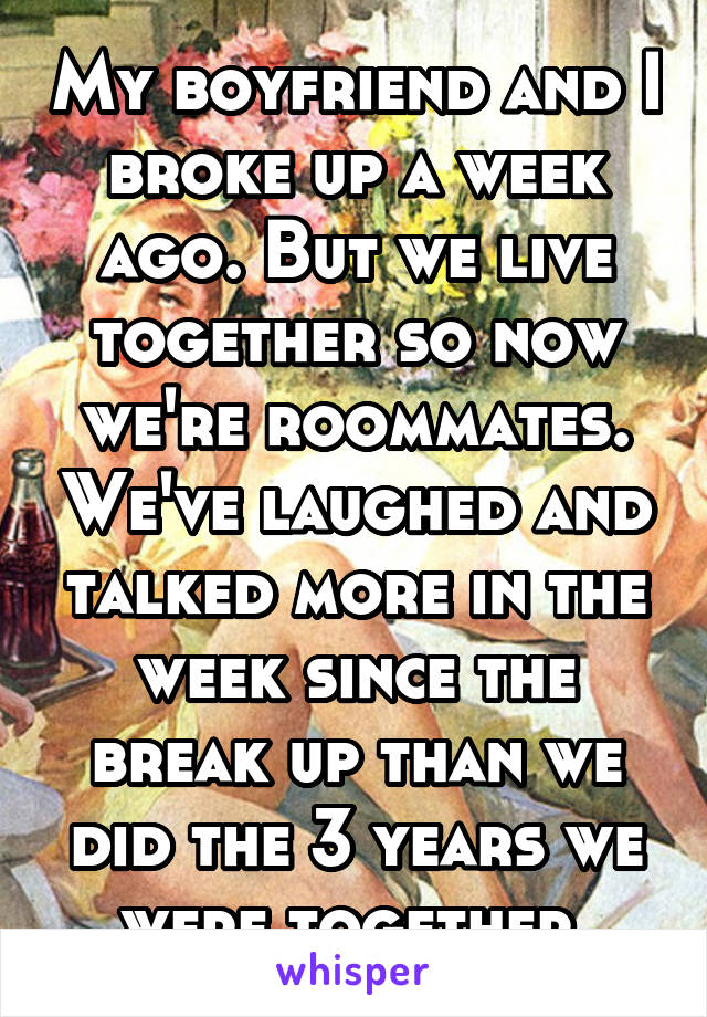 My boyfriend and I broke up a week ago. But we live together so now we're roommates. We've laughed and talked more in the week since the break up than we did the 3 years we were together.