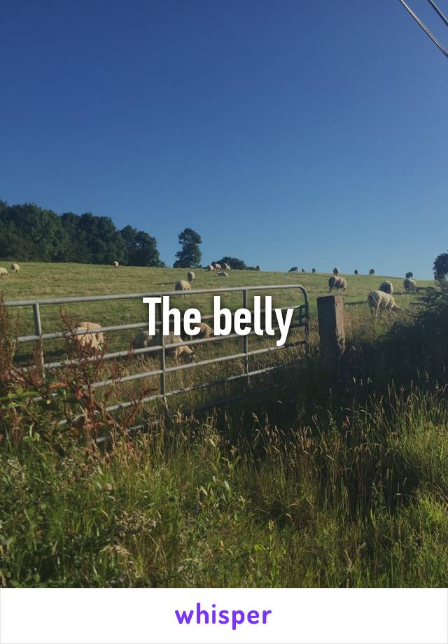 The belly 