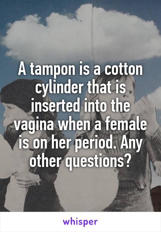 A tampon is a cotton cylinder that is inserted into the vagina when a female is on her period. Any other questions?