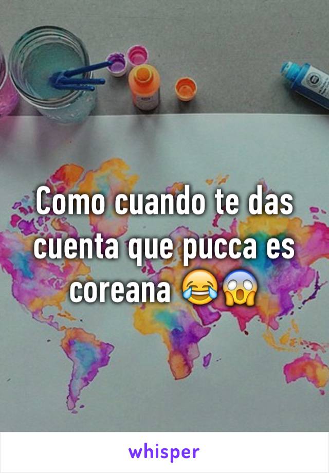 Como cuando te das cuenta que pucca es coreana 😂😱