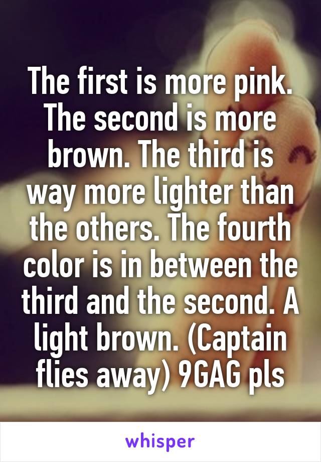 The first is more pink. The second is more brown. The third is way more lighter than the others. The fourth color is in between the third and the second. A light brown. (Captain flies away) 9GAG pls