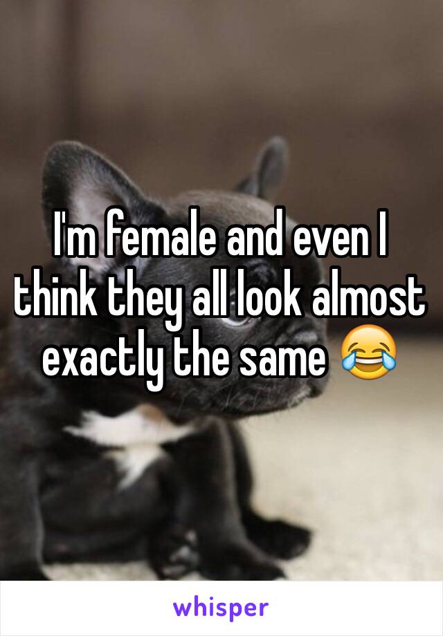 I'm female and even I think they all look almost exactly the same 😂