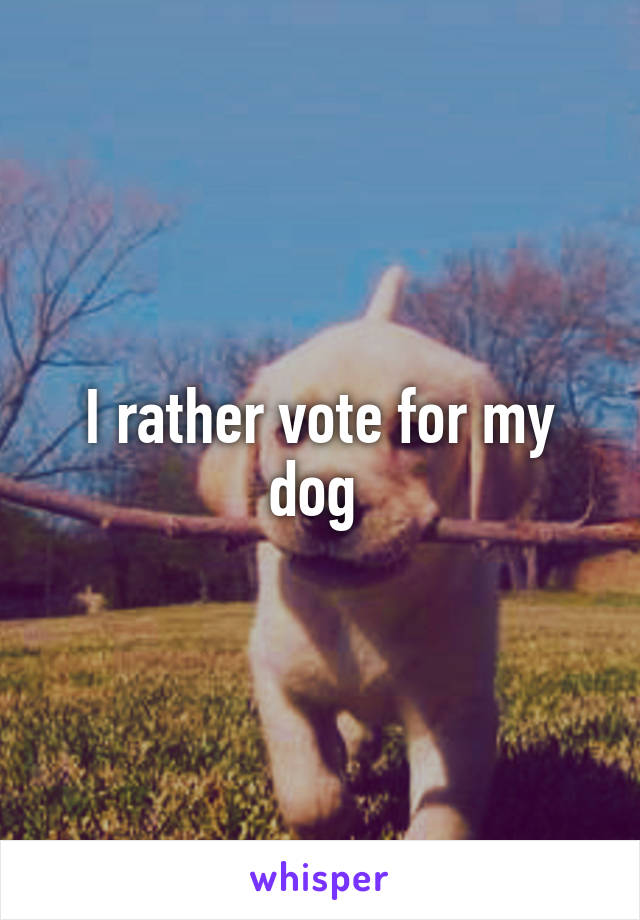 I rather vote for my dog 