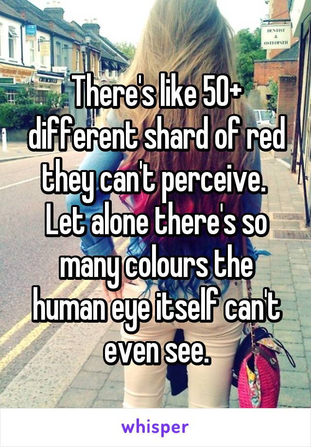 There's like 50+ different shard of red they can't perceive.  Let alone there's so many colours the human eye itself can't even see.