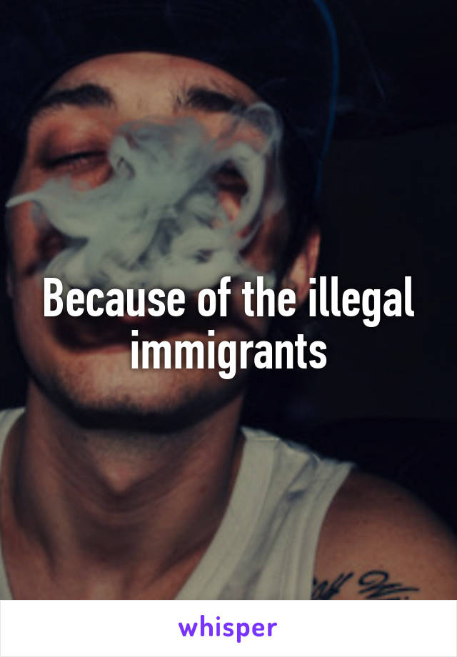 Because of the illegal immigrants