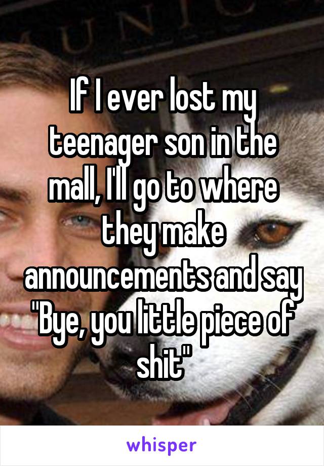 If I ever lost my teenager son in the mall, I'll go to where they make announcements and say "Bye, you little piece of shit"