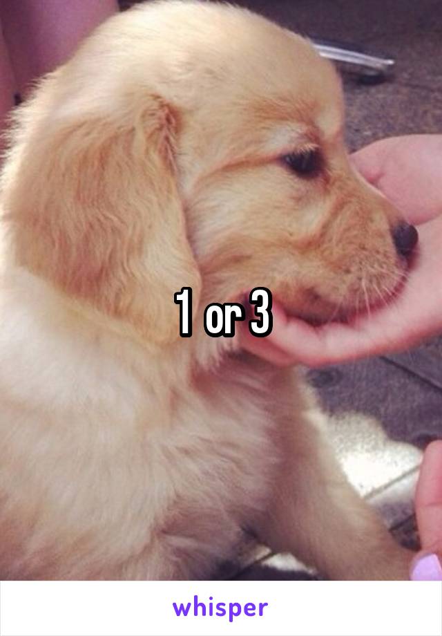 1  or 3