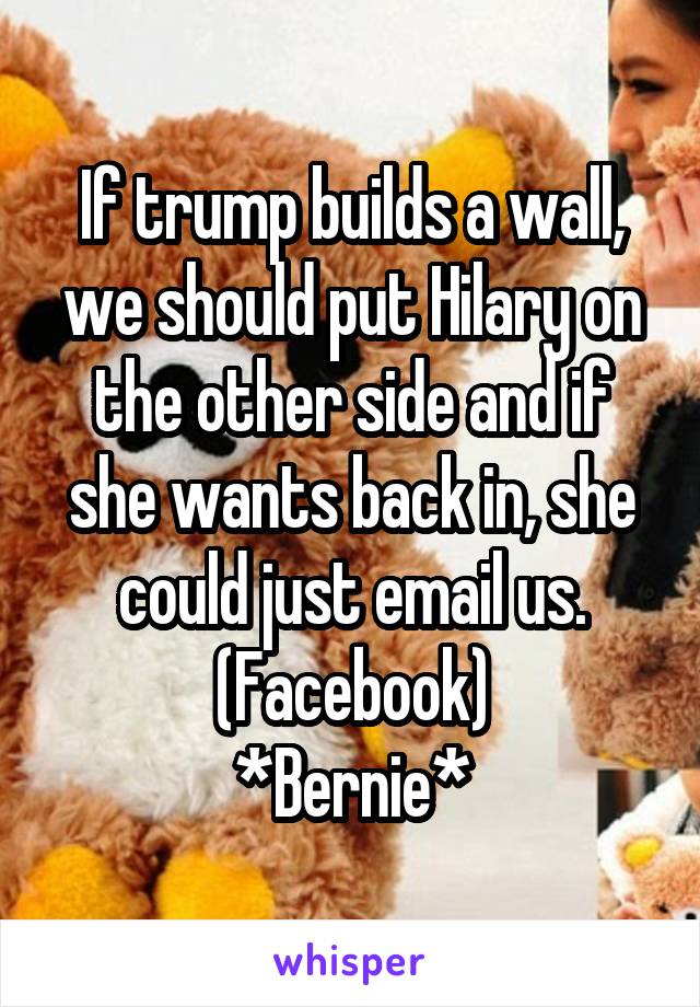 If trump builds a wall, we should put Hilary on the other side and if she wants back in, she could just email us. (Facebook)
*Bernie*