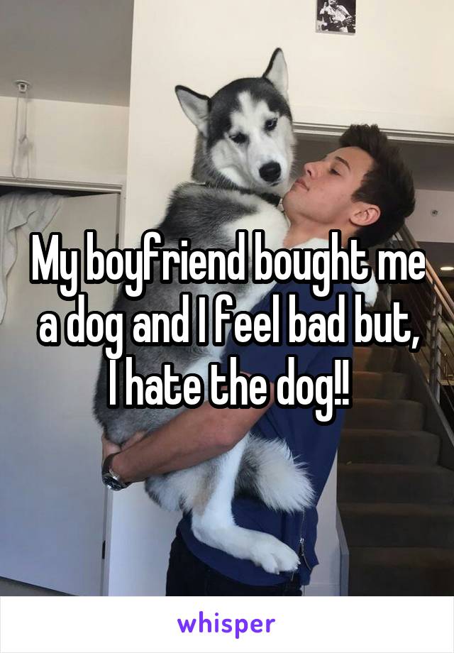 My boyfriend bought me a dog and I feel bad but, I hate the dog!!