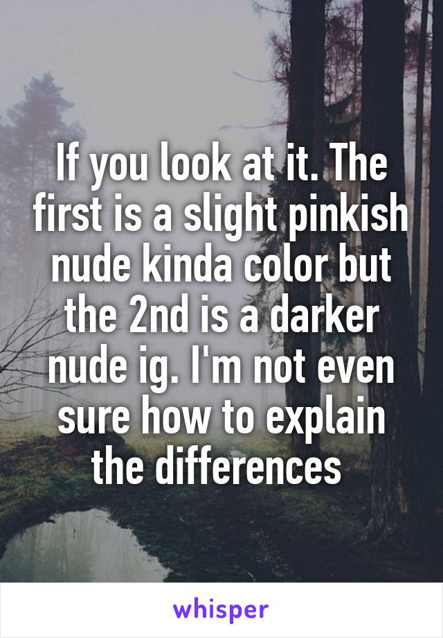 If you look at it. The first is a slight pinkish nude kinda color but the 2nd is a darker nude ig. I'm not even sure how to explain the differences 