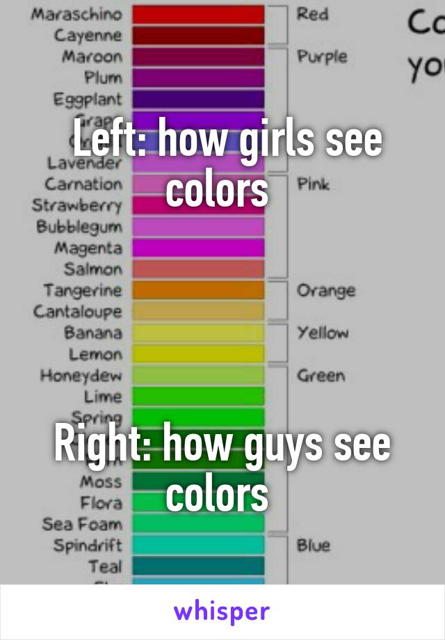  Left: how girls see colors 




Right: how guys see colors 