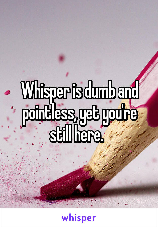 Whisper is dumb and pointless, yet you're still here.  