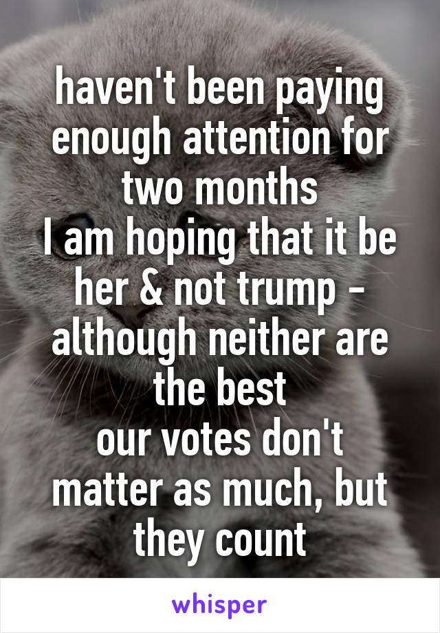 haven't been paying enough attention for two months
I am hoping that it be her & not trump - although neither are the best
our votes don't matter as much, but they count