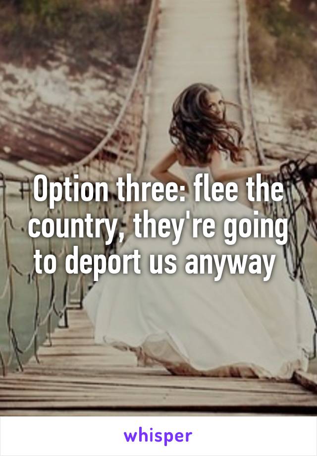 Option three: flee the country, they're going to deport us anyway 