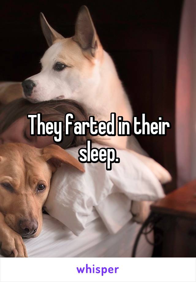 They farted in their sleep.