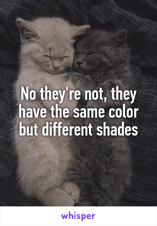 No they're not, they have the same color but different shades