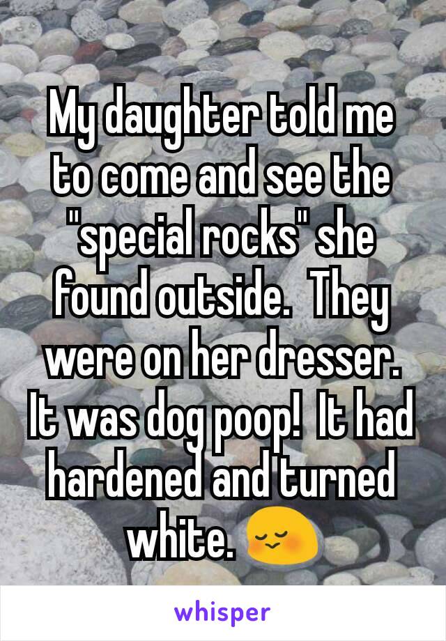 My daughter told me to come and see the "special rocks" she found outside.  They were on her dresser.  It was dog poop!  It had hardened and turned white. 😳