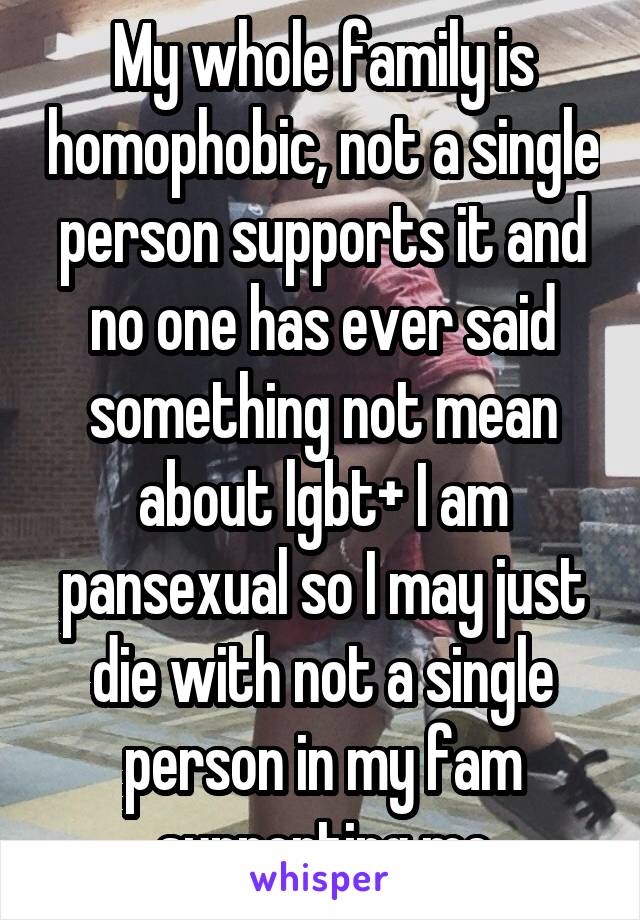My whole family is homophobic, not a single person supports it and no one has ever said something not mean about lgbt+ I am pansexual so I may just die with not a single person in my fam supporting me