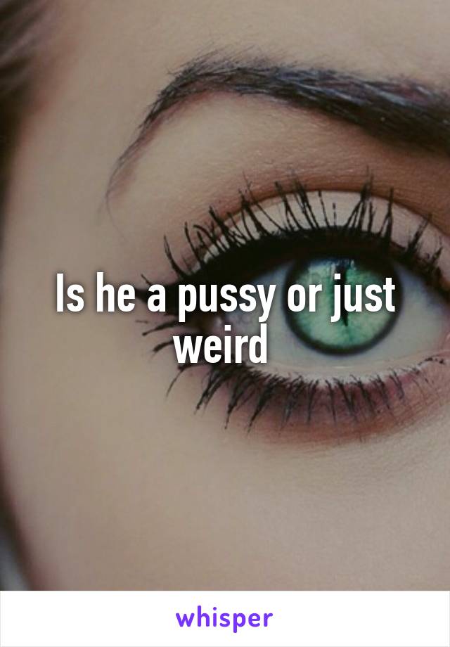 Is he a pussy or just weird 