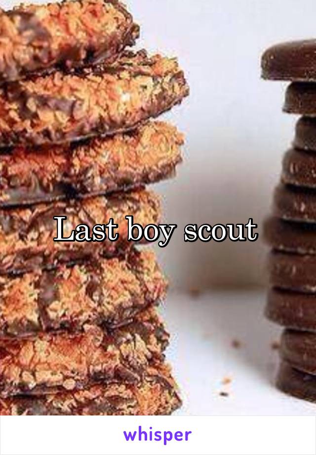 Last boy scout 