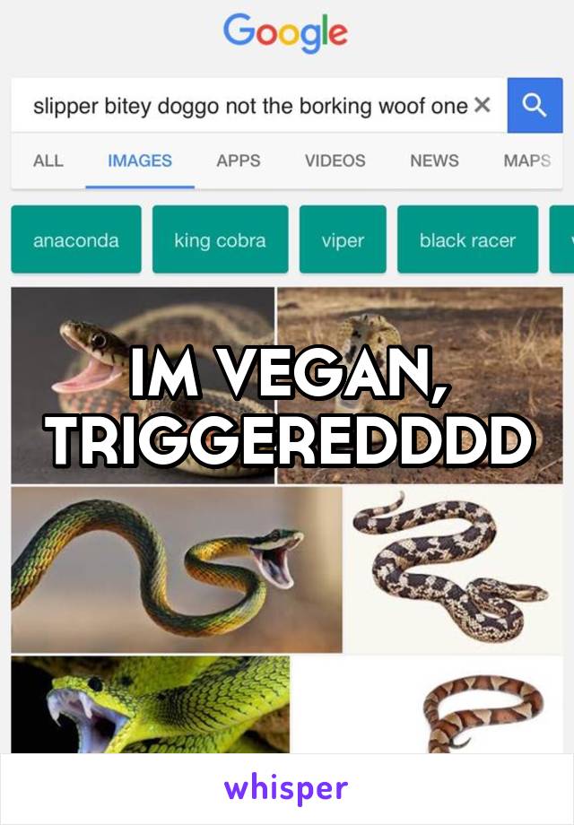 IM VEGAN, TRIGGEREDDDD