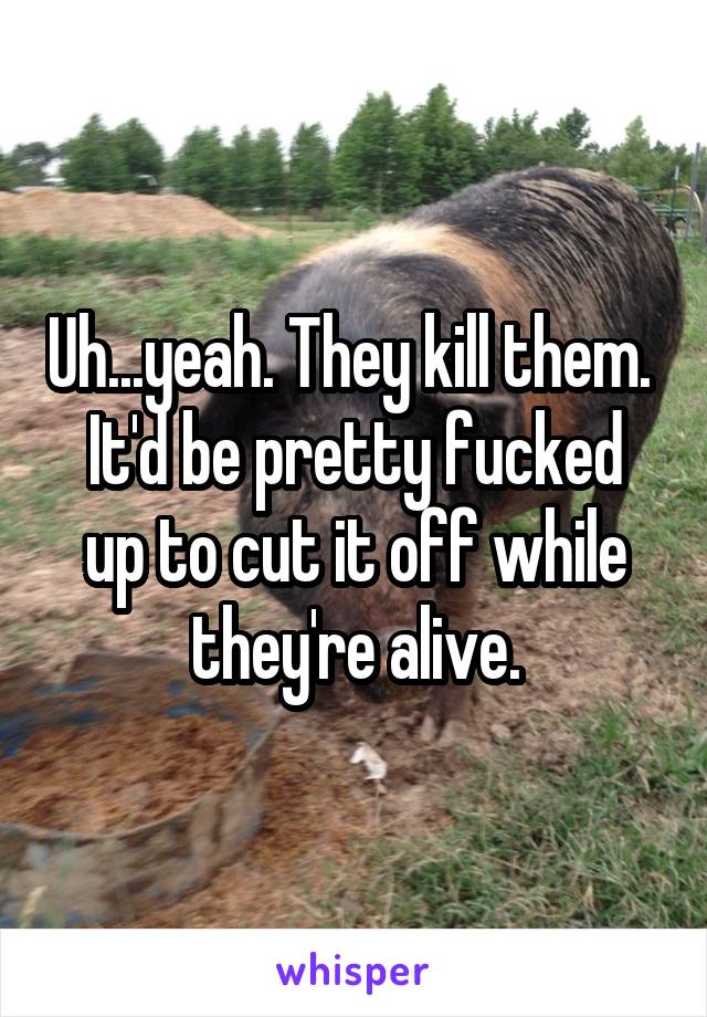 Uh...yeah. They kill them. 
It'd be pretty fucked up to cut it off while they're alive.