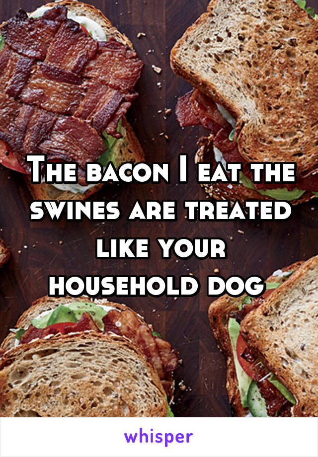 The bacon I eat the swines are treated like your household dog 