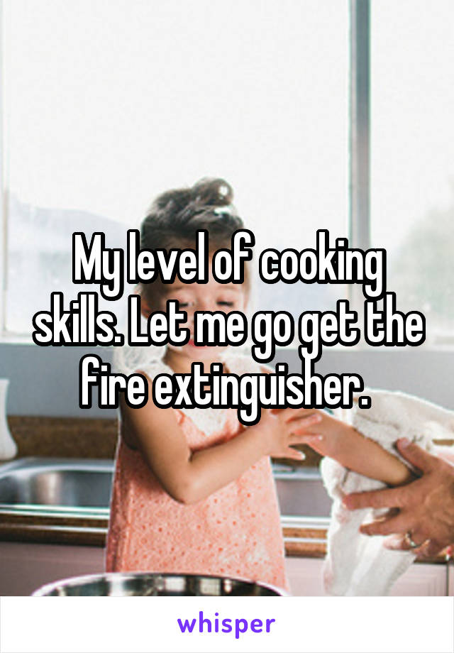 My level of cooking skills. Let me go get the fire extinguisher. 