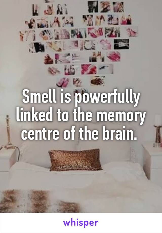 Smell is powerfully linked to the memory centre of the brain. 
