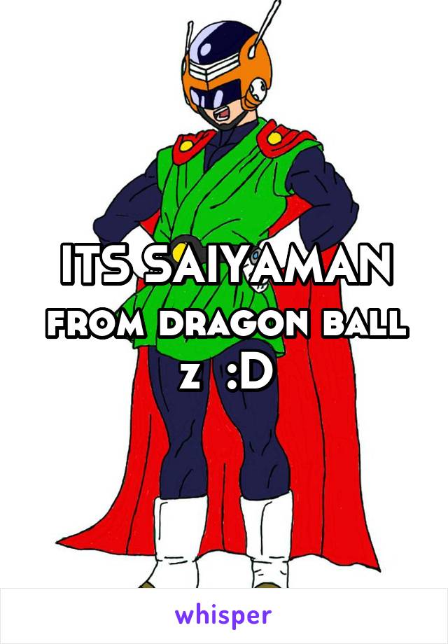 ITS SAIYAMAN from dragon ball z  :D