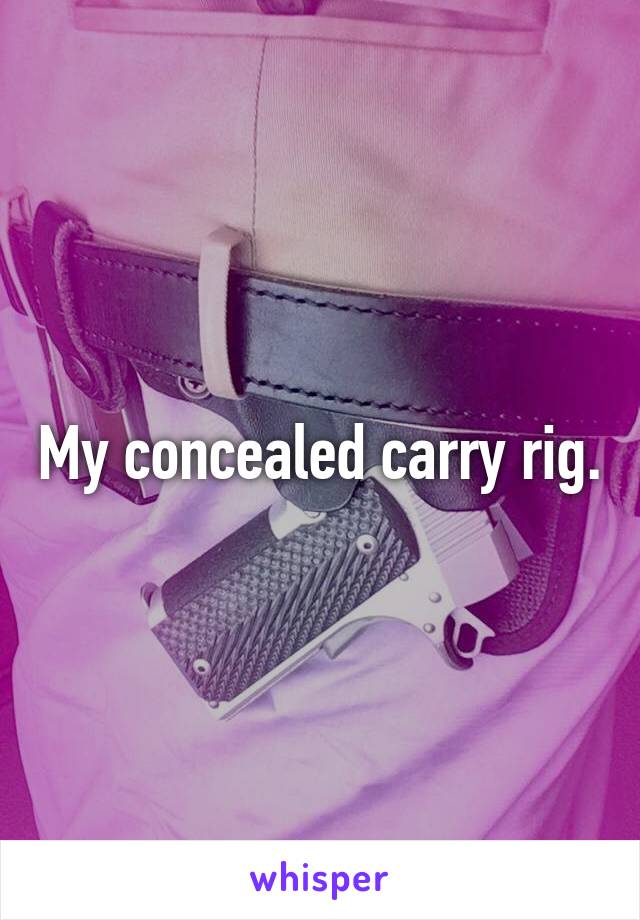 My concealed carry rig.