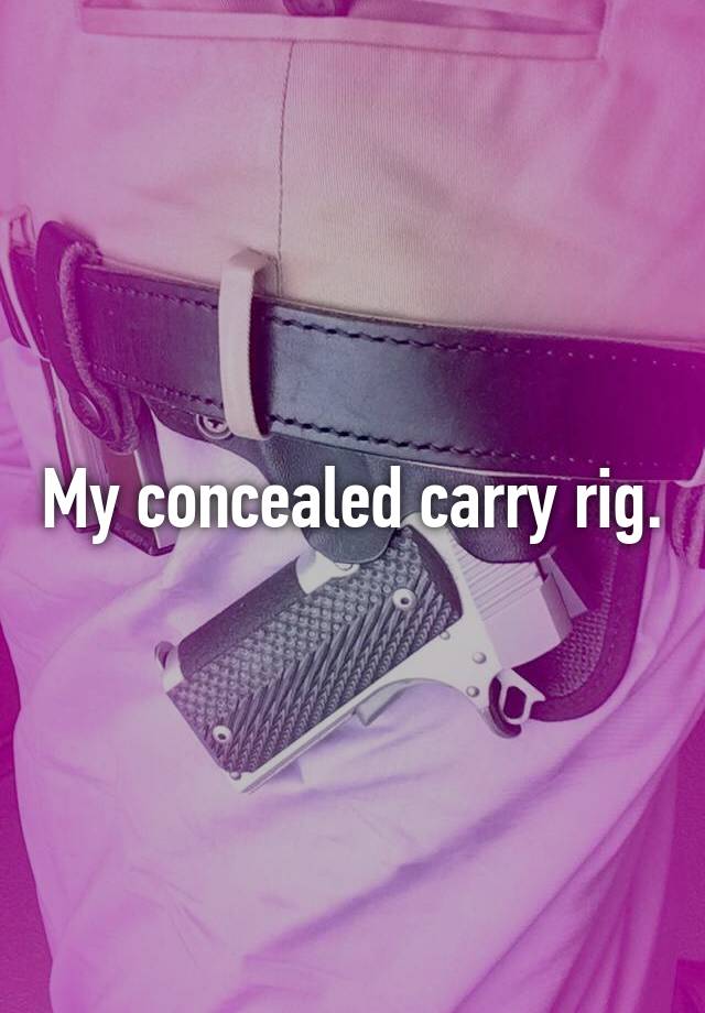 My concealed carry rig.