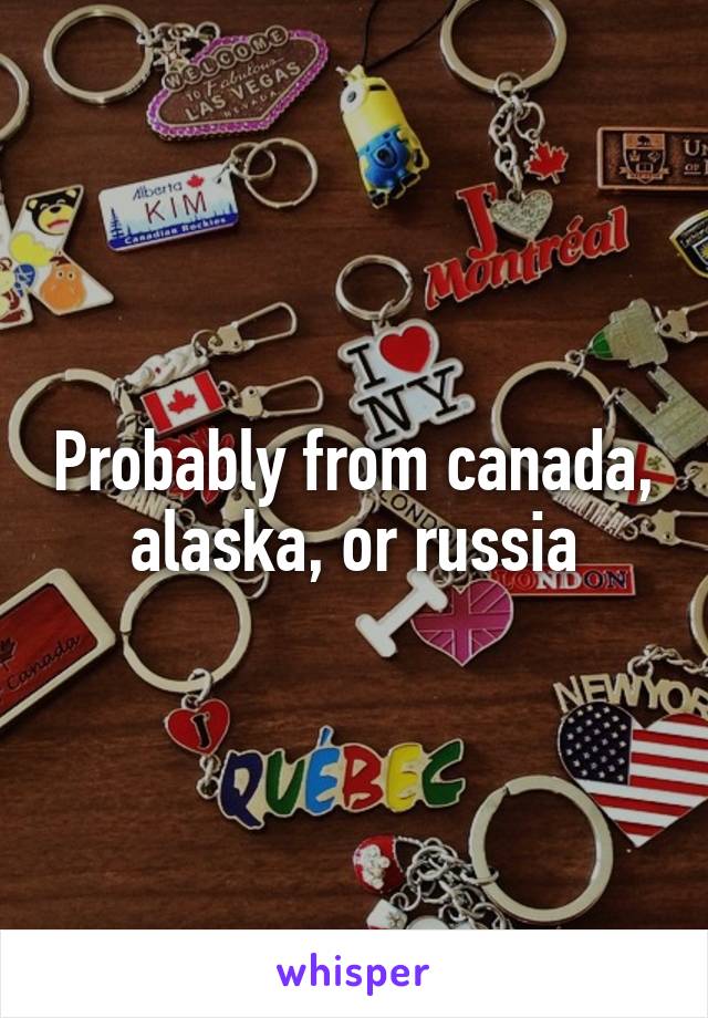 Probably from canada, alaska, or russia