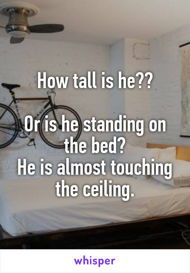 How tall is he??

Or is he standing on the bed?
He is almost touching the ceiling.