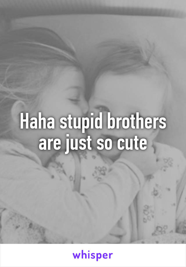 Haha stupid brothers are just so cute