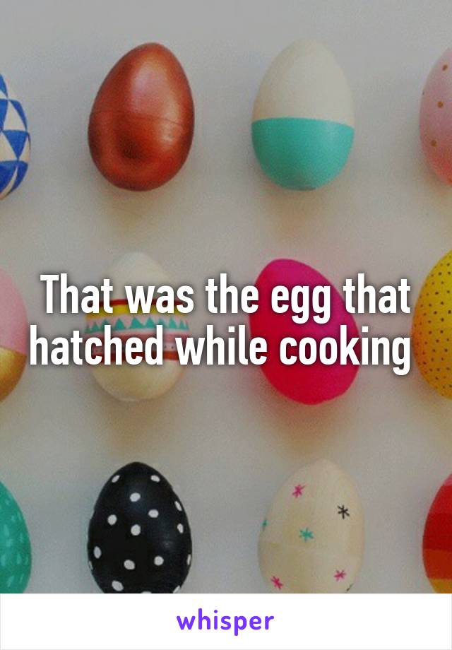 That was the egg that hatched while cooking 