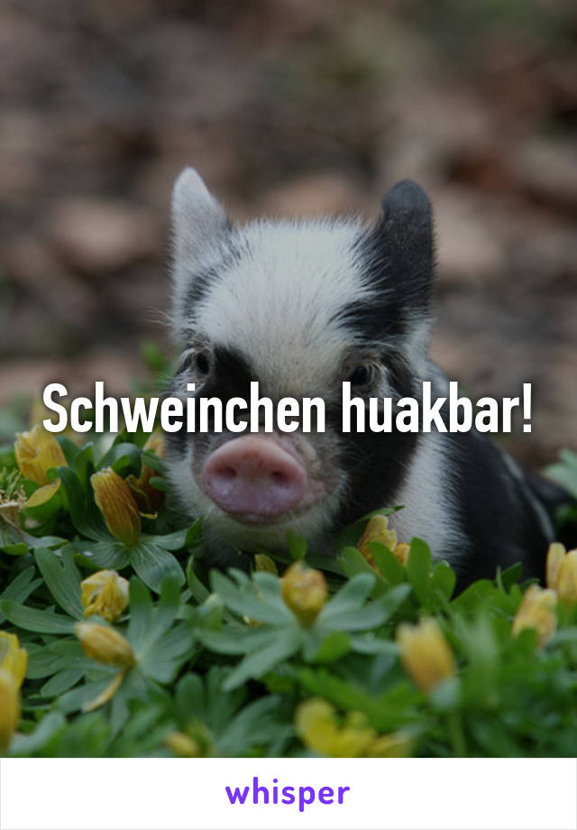 Schweinchen huakbar!