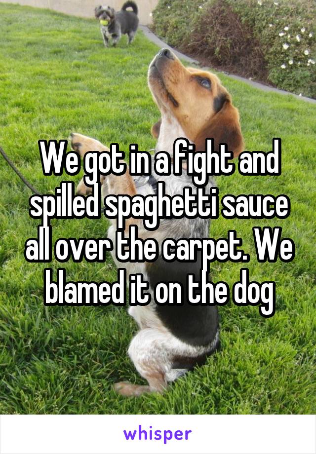 We got in a fight and spilled spaghetti sauce all over the carpet. We blamed it on the dog
