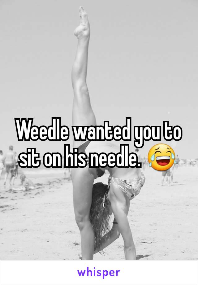 Weedle wanted you to sit on his needle. 😂