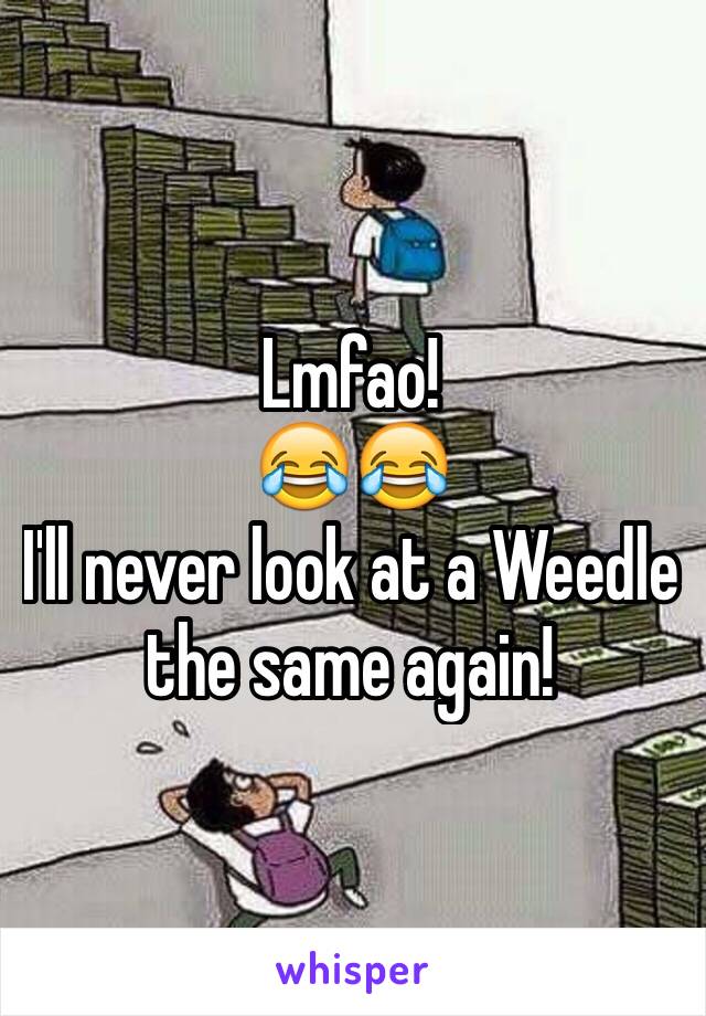 Lmfao! 
😂😂
I'll never look at a Weedle the same again! 