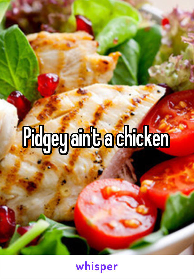 Pidgey ain't a chicken 