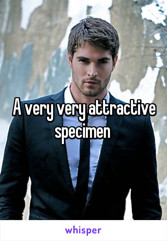 A very very attractive specimen 