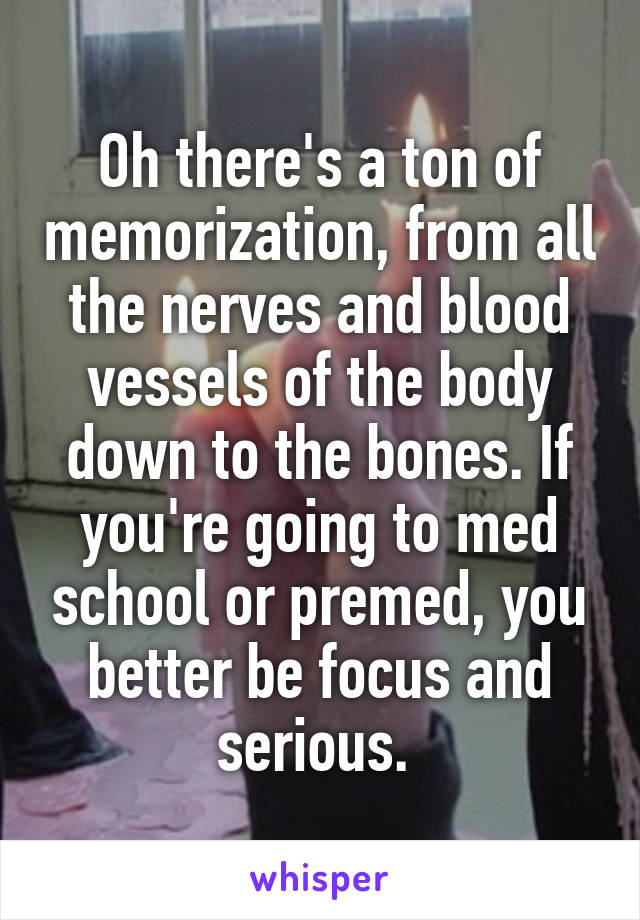 Oh there's a ton of memorization, from all the nerves and blood vessels of the body down to the bones. If you're going to med school or premed, you better be focus and serious. 